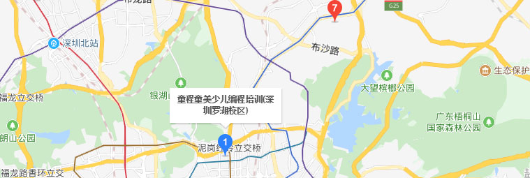 深圳罗湖区童程童美校区地址